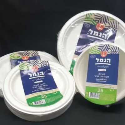 צלחות מתכלות