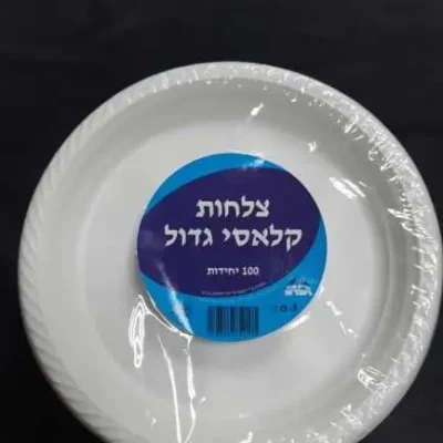 צלחת קלאסי גדול-קשיח 1/100