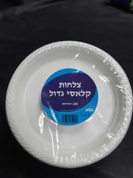 צלחת קלאסי גדול-קשיח 1/100